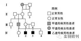 孟德尔遗传定律教案范文_孟德尔遗传定律教案范文_汉水丑生 孟德尔遗传定律