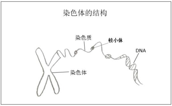 体育学院教案模板_体育教案模板免费下载_体育教案热身操模板